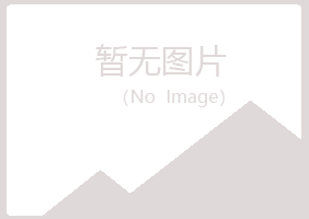 龙门县忆山建设有限公司